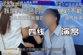 国产网友在线,国产科技崛起背后的故事